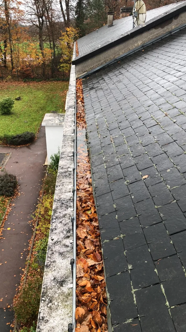 Toiture en ardoise et chéneau en fin d'automne, feuilles mortes