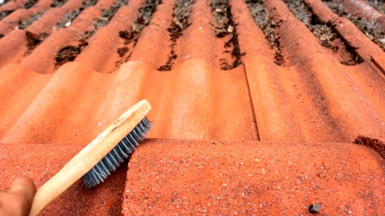 Brosse posée sur une tuile en cours de nettoyage