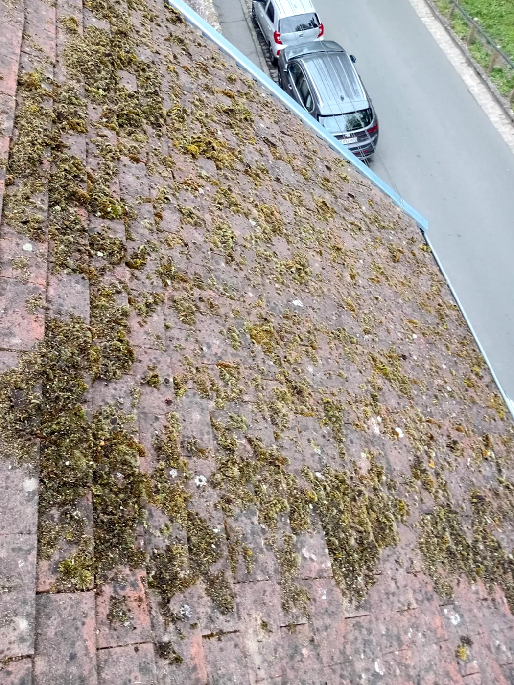Détail des mousses installées sur les tuiles