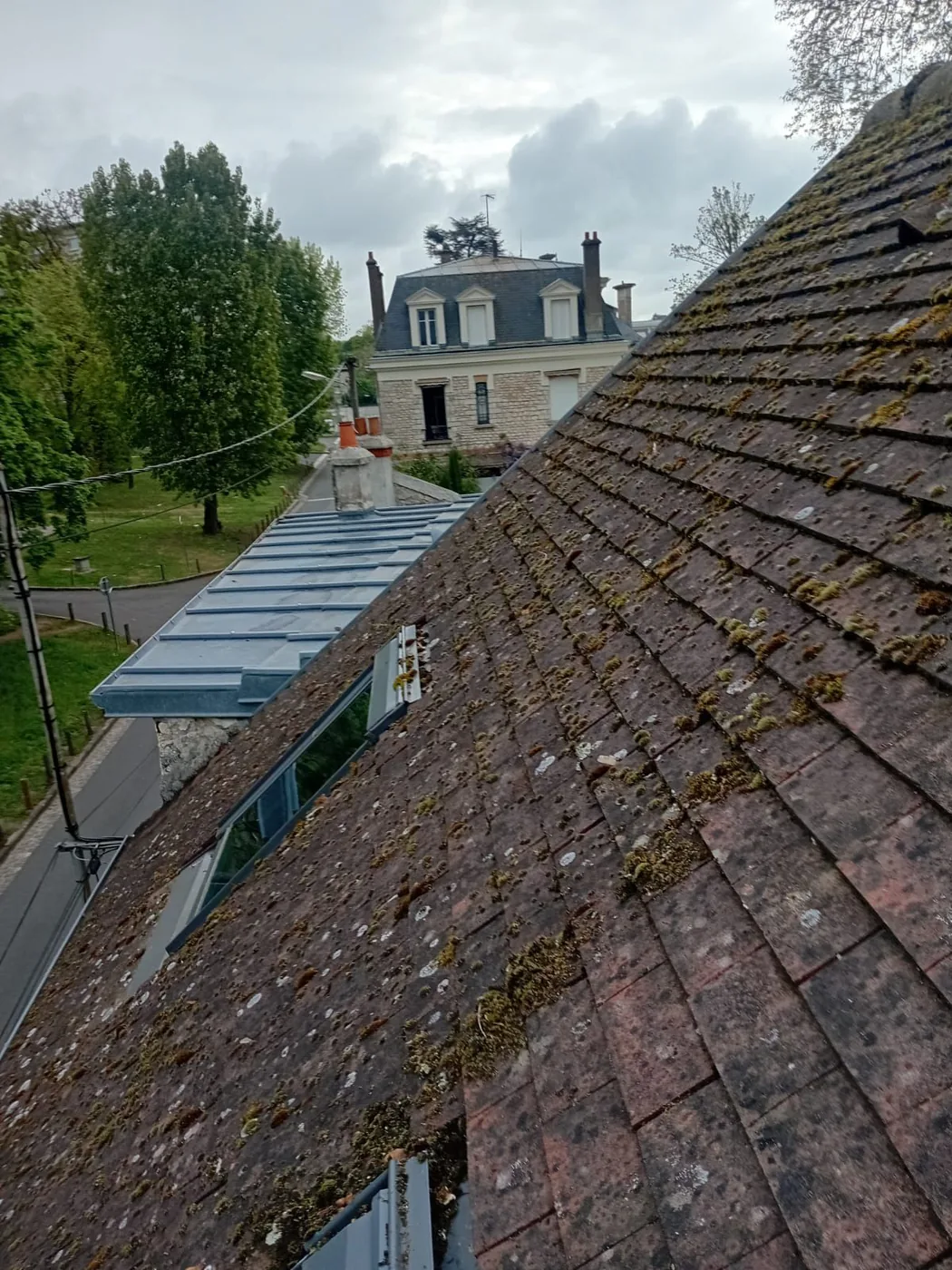 Toiture envahie par la mousse, avant démoussage